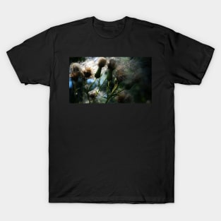 Dandelion Macro T-Shirt